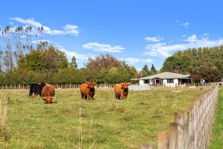 Photo of property in 1564 Cheltenham Hunterville Road, Waituna West, Rewa, 4780