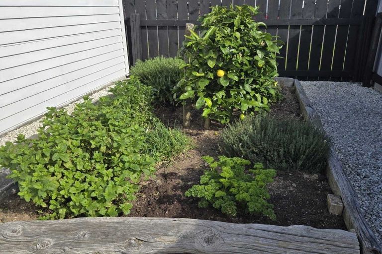 Photo of property in 7 Hall Street, Woodville, 4920