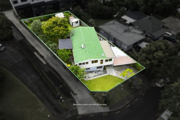 Photo of property in 9 Bowman Road, Forrest Hill, Auckland, 0620