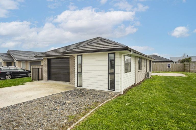 Photo of property in 68 Hinemoa Street, Levin, 5510