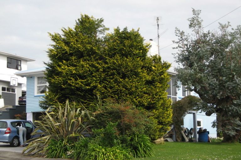 Photo of property in 6 Sardinha Place, Marfell, New Plymouth, 4310