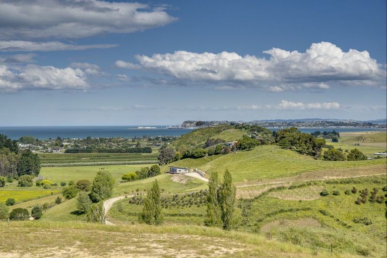 Photo of property in 53 Lopdell Lane, Eskdale, Napier, 4182