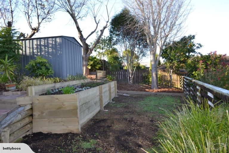 Photo of property in 12 Taylor Street, Ohauiti, Tauranga, 3112