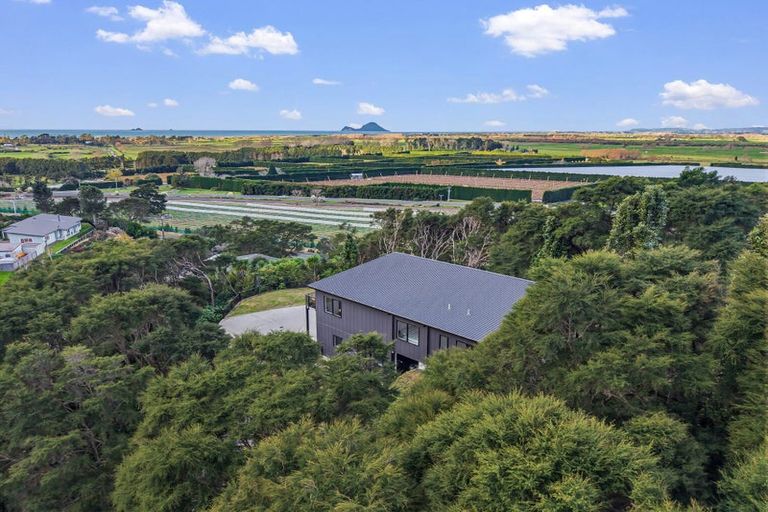 Photo of property in 3 Kereru Lane, Matata, 3194