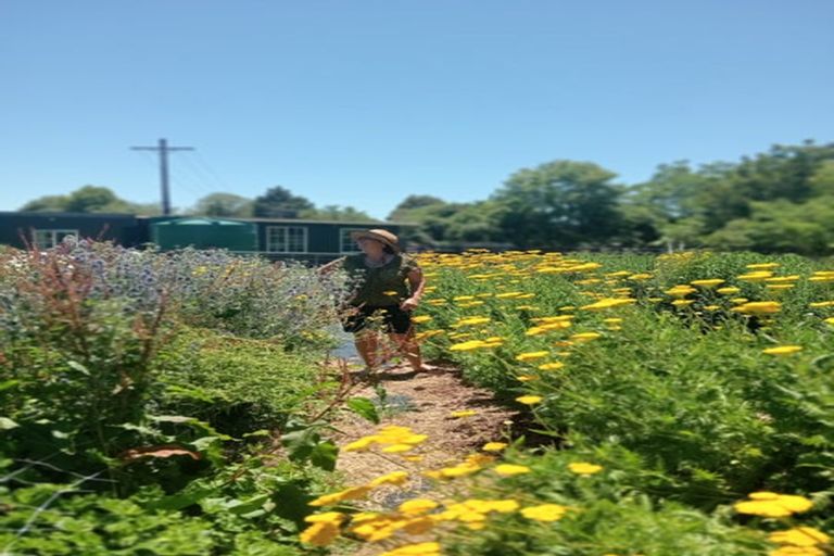 Photo of property in 288 Oropi Gorge Road, Oropi, Tauranga, 3173