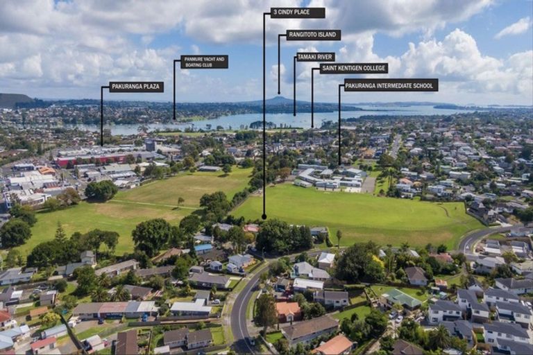 Photo of property in 3 Cindy Place, Pakuranga, Auckland, 2010