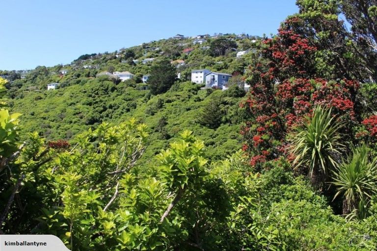 Photo of property in 8 Rodney Street, Northland, Wellington, 6012