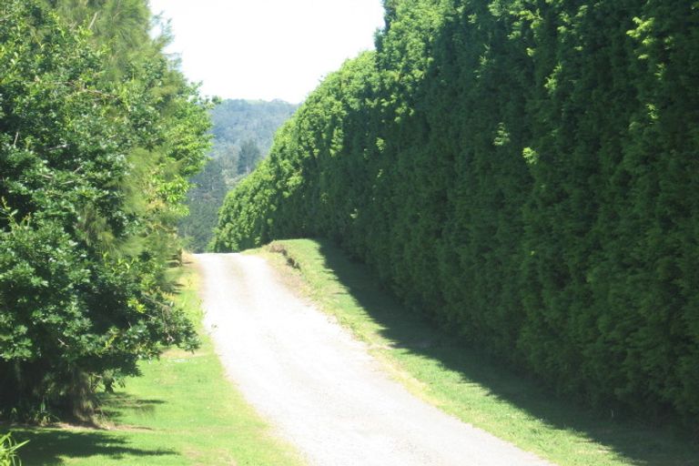 Photo of property in 105a Whakamarama Road, Whakamarama, Tauranga, 3179