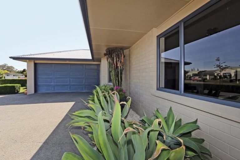 Photo of property in 202 Frimley Oaks, Frimley, Hastings, 4120