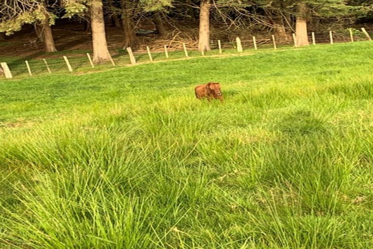 Photo of property in 637 Ormandy Road, Mangapai, 0178