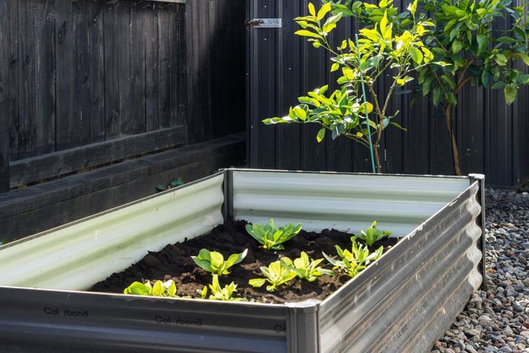 Photo of property in 26b Yanicks Crescent, Fitzroy, Hamilton, 3206