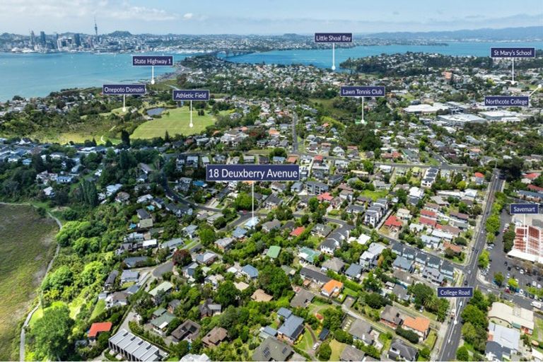 Photo of property in 18 Deuxberry Avenue, Northcote, Auckland, 0627