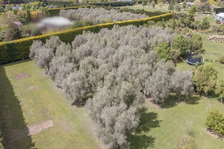 Photo of property in 262 O'roarkes Road, Fernside, Rangiora, 7471