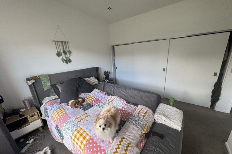 Photo of property in 38 Saddleback Grove, Karori, Wellington, 6012