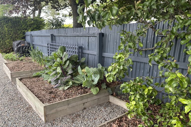 Photo of property in 227 Church Street, West End, Timaru, 7910