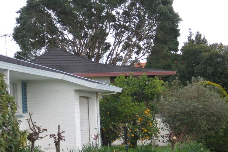 Photo of property in 21 Mahoe Street, Matua, Tauranga, 3110