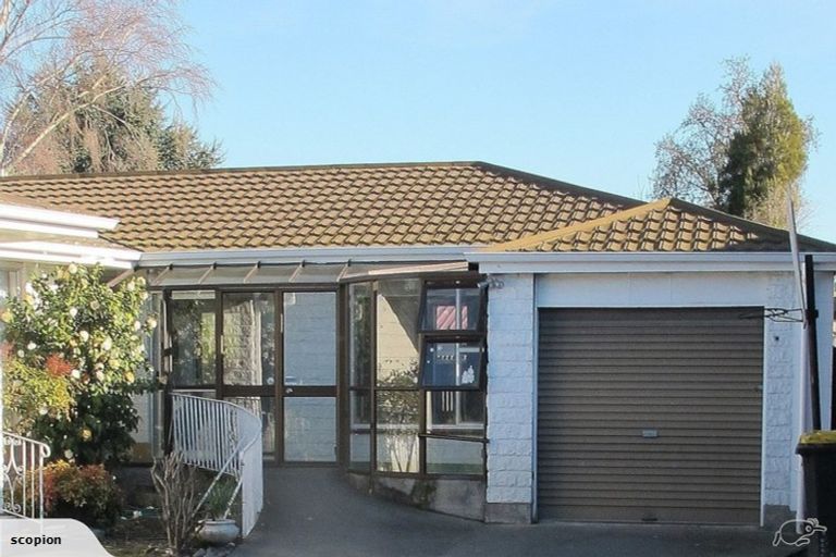 Photo of property in 36a Meadow Street, Papanui, Christchurch, 8052