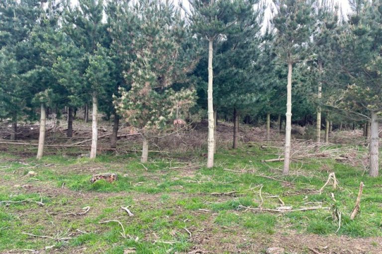 Photo of property in 1387 Santoft Road, Santoft, Bulls, 4894