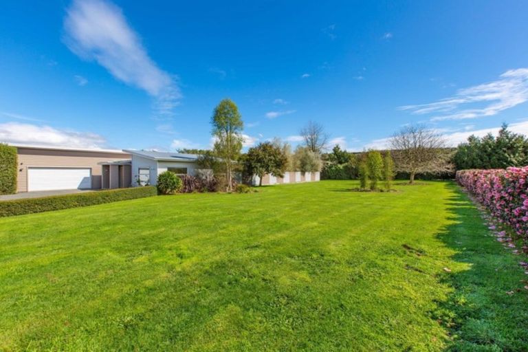 Photo of property in 369b Marshmeadow Road, Newstead, Hamilton, 3286