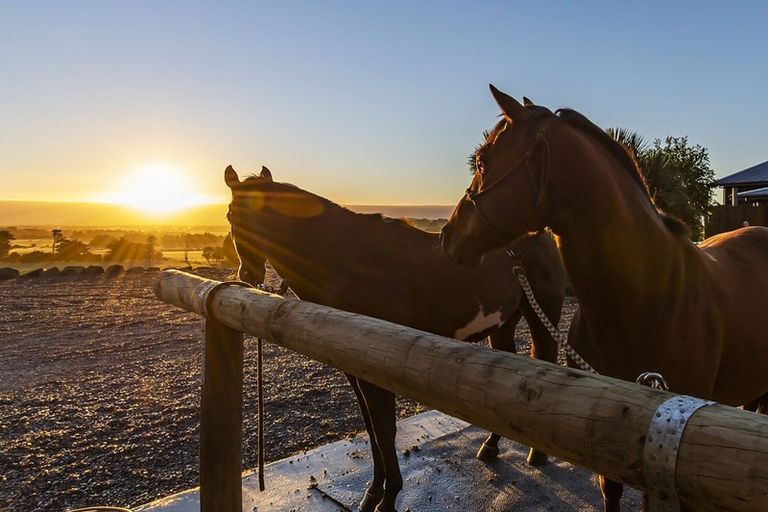 Photo of property in 125 Ashley Gorge Road, Starvation Hill, Oxford, 7495