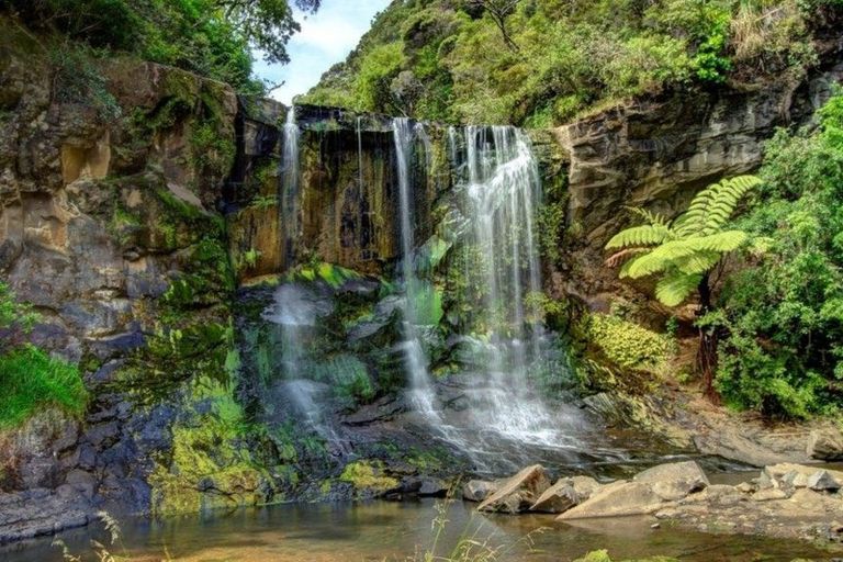 Photo of property in 71b Taiapa Valley Road, Muriwai, 0881