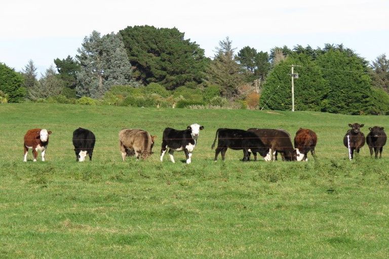 Photo of property in 60 Otatara Road, Otatara, Invercargill, 9879