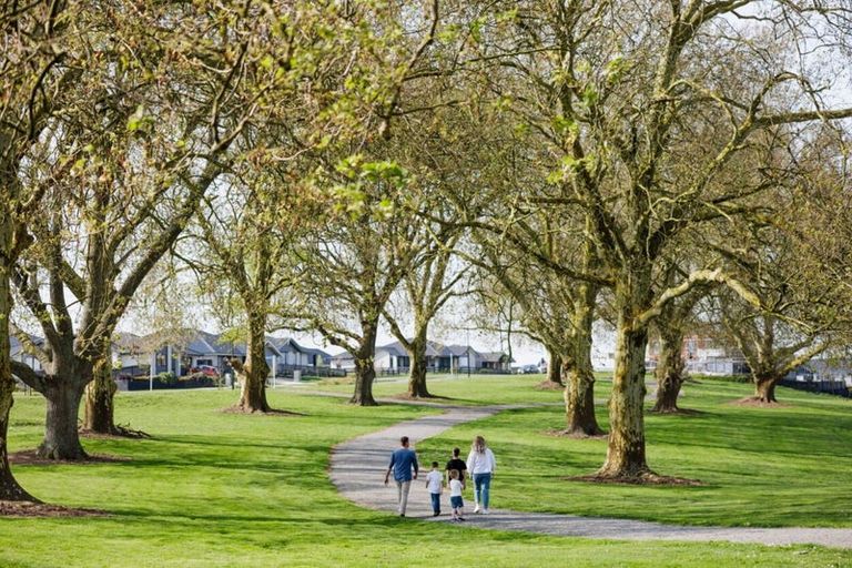 Photo of property in 97 Marsh Avenue, Morrinsville, 3300