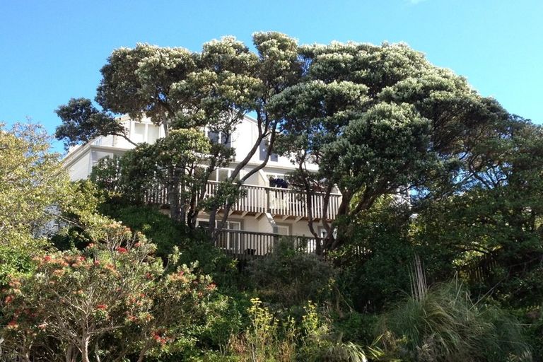 Photo of property in 13d Lawrence Street, Newtown, Wellington, 6021
