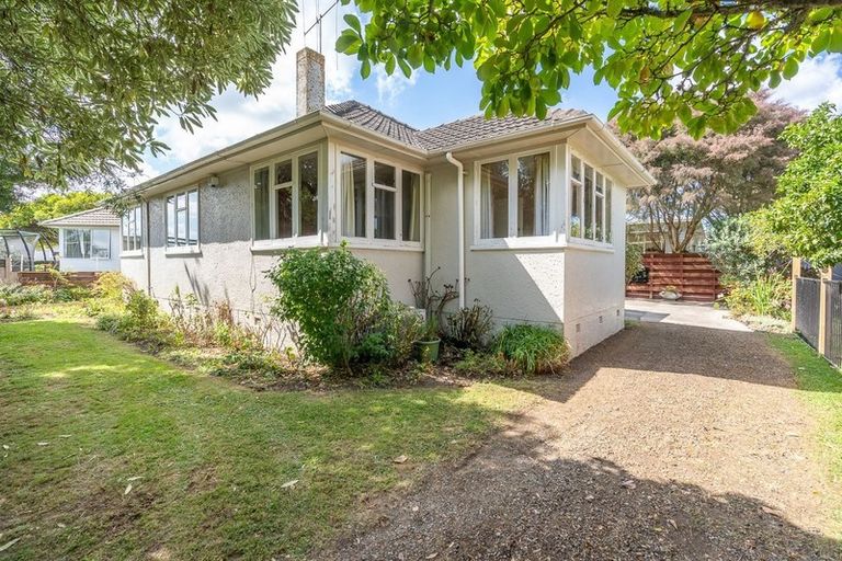 Photo of property in 128 Clarkin Road, Fairfield, Hamilton, 3214