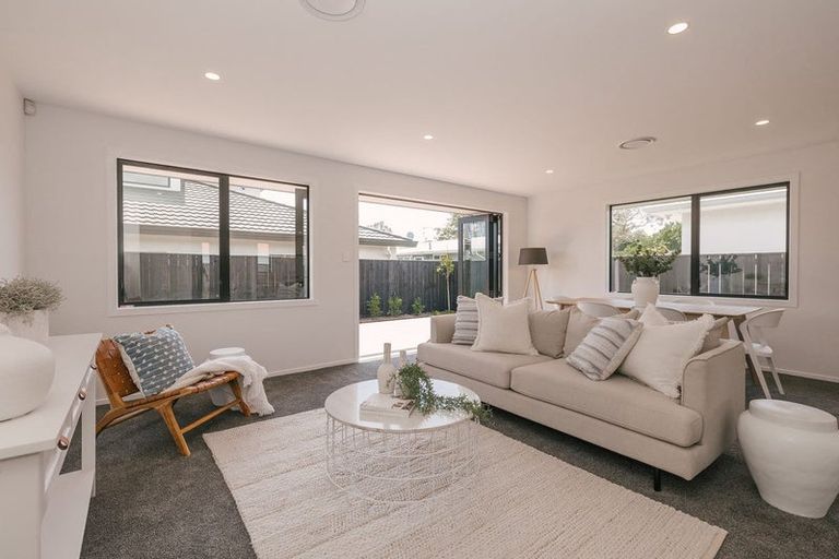 Photo of property in 462 Ruahine Street, Terrace End, Palmerston North, 4410