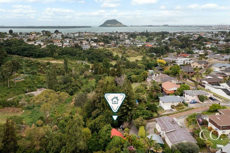 Photo of property in 22 Apollo Street, Otumoetai, Tauranga, 3110