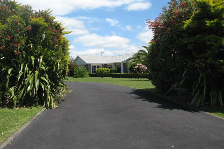 Photo of property in 390 Tuapiro Road, Tahawai, Katikati, 3170