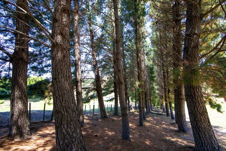 Photo of property in 690 Swamp Road, Puketapu, Napier, 4183