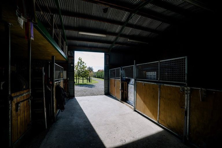 Photo of property in 25 Racecourse Road, Cambridge, 3493