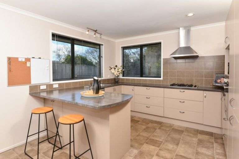 Photo of property in 19 Goodall Street, Dinsdale, Hamilton, 3204