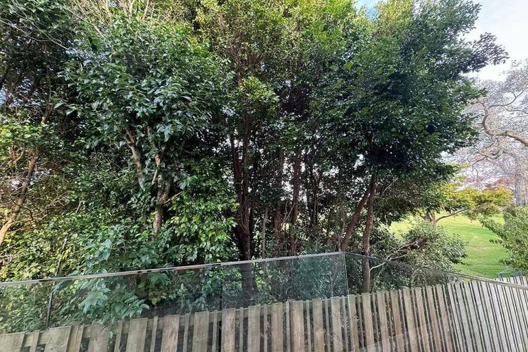 Photo of property in 11 Apple Lane, Henderson, Auckland, 0610