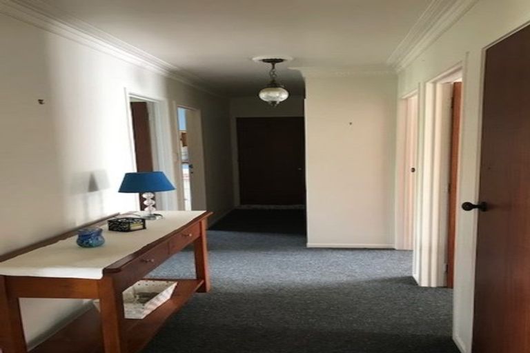 Photo of property in 56 Alison Street, Hamilton Lake, Hamilton, 3204