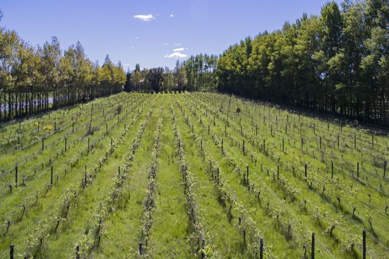 Photo of property in 16 Amberley Beach Road, Amberley, 7410