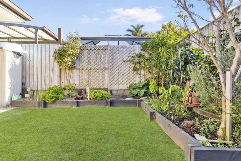 Photo of property in 453 Ohauiti Road, Ohauiti, Tauranga, 3112