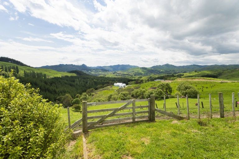 Photo of property in 232 Gaddums Hill Road, Outer Kaiti, Gisborne, 4010