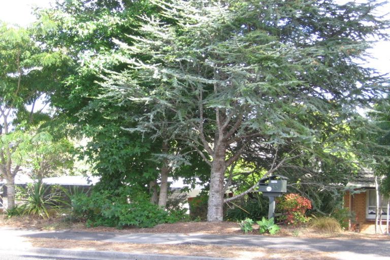 Photo of property in 33 Hadfield Street, Beach Haven, Auckland, 0626