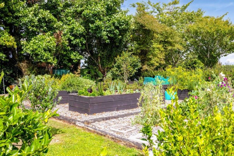 Photo of property in 315 Tarata Road, Norfolk, Inglewood, 4387