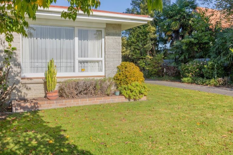 Photo of property in 1/1 Peddie Street, Taradale, Napier, 4112