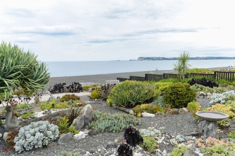 Photo of property in 32 Ferguson Street, Bay View, Napier, 4104