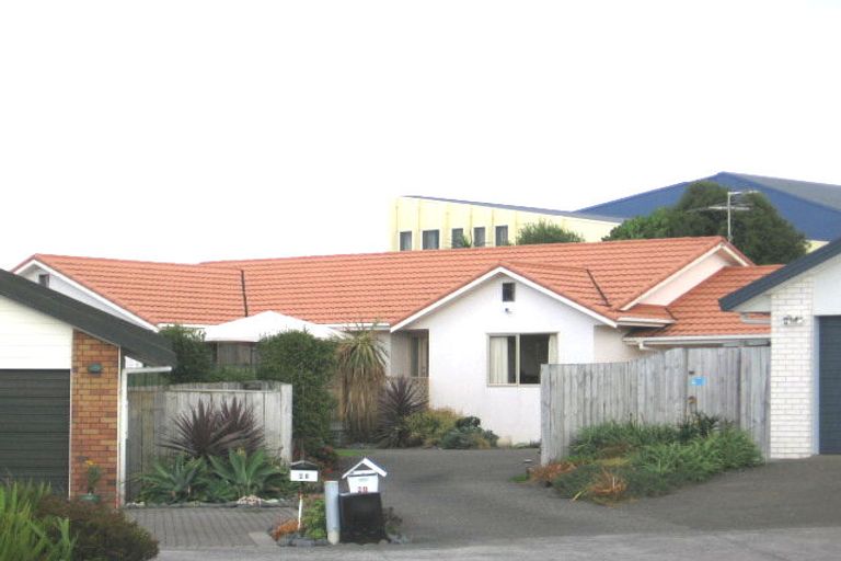 Photo of property in 28 Maurice Borich Place, Henderson, Auckland, 0610