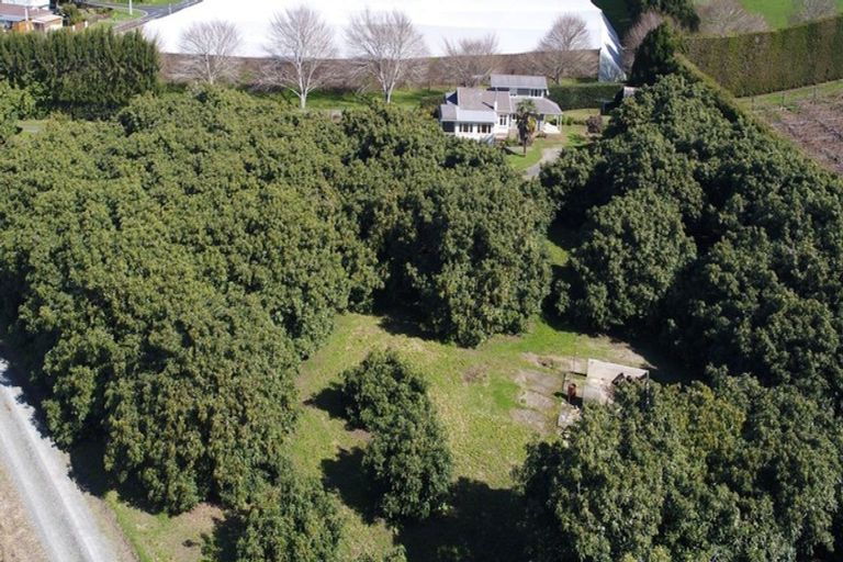 Photo of property in 219 Plummers Point Road, Whakamarama, Tauranga, 3172