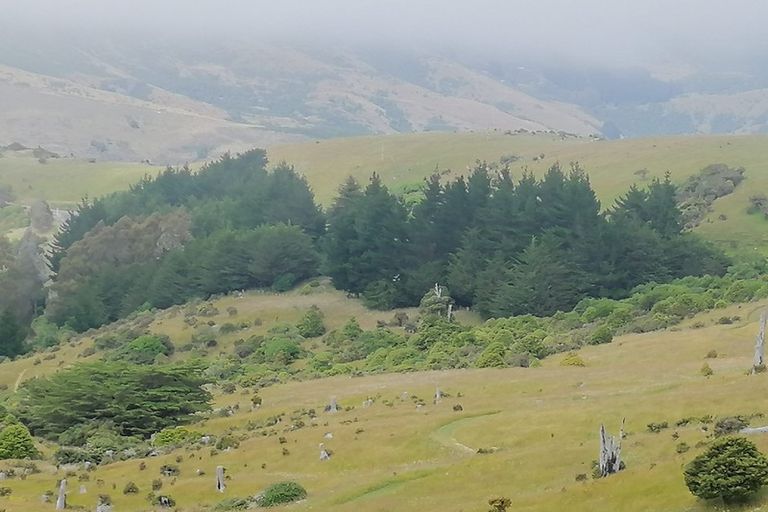 Photo of property in 11 Le Bons Bay Road, Le Bons Bay, 7583