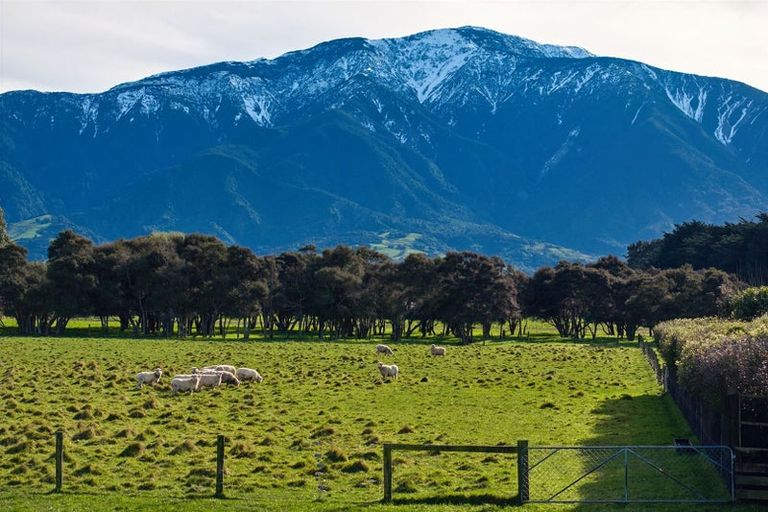 Photo of property in 238 Red Swamp Road, Kaikoura Flat, Kaikoura, 7371