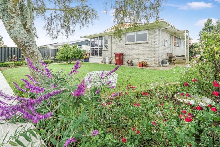 Photo of property in 3a Fiona Place, Dinsdale, Hamilton, 3204