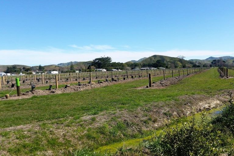 Photo of property in 5 Cook Street, Tolaga Bay, 4077